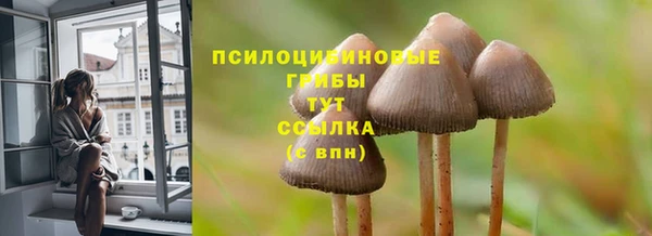 МДПВ Абдулино
