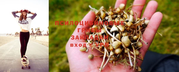 МДПВ Абдулино