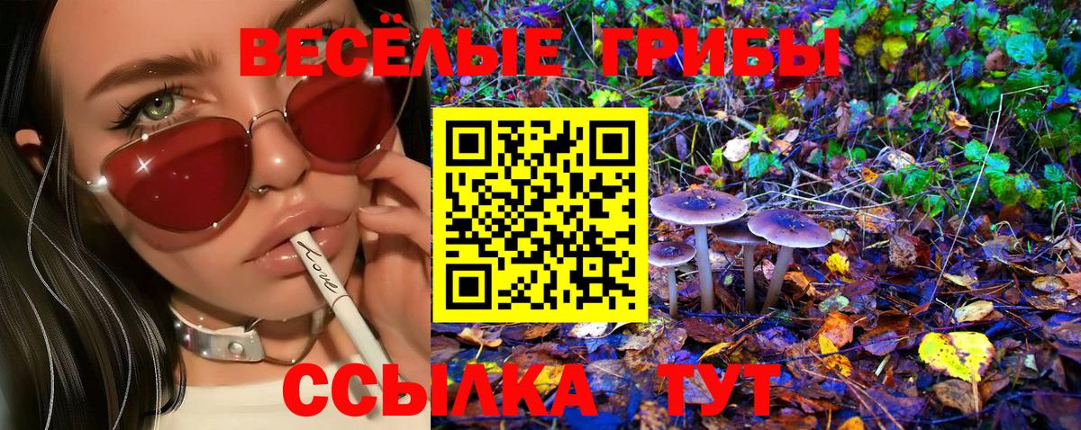 Псилоцибиновые грибы прущие грибы  Вход с VPN  сколько стоит  Людиново 