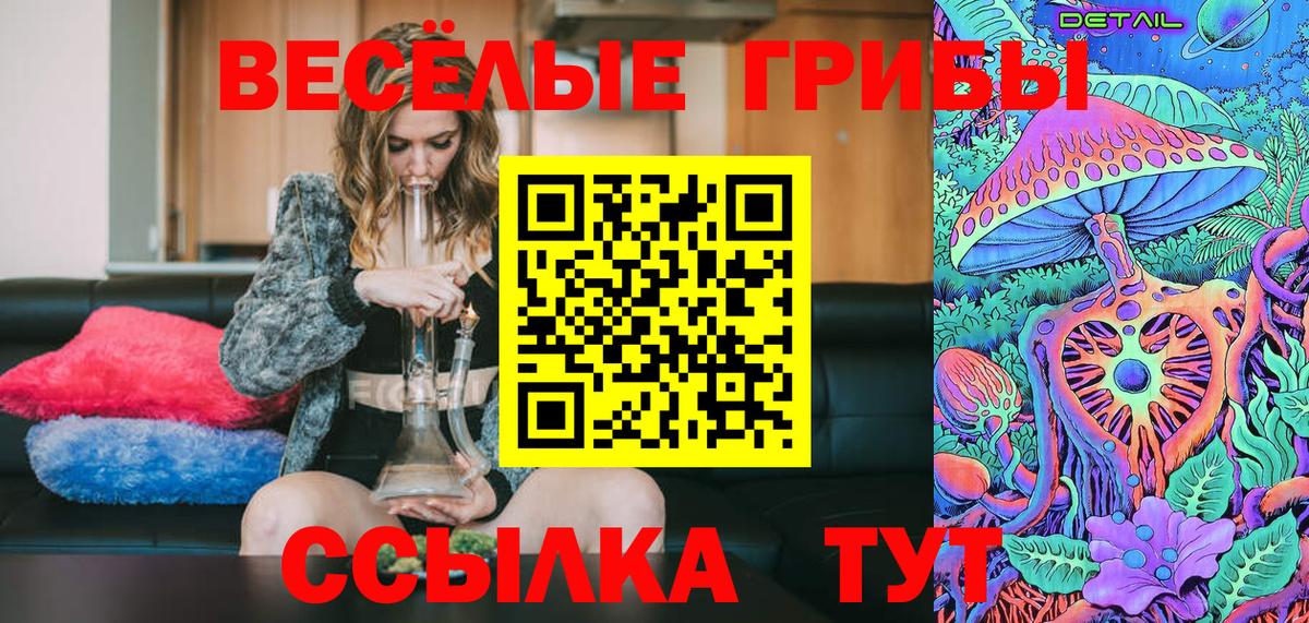 Галлюциногенные грибы Psilocybe Людиново