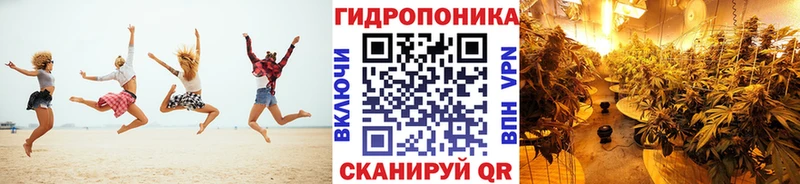 Бошки Шишки OG Kush  Людиново 